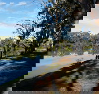Murray River National Park - Katarapko - Accommodation Bookings