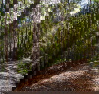 Myrtle Scrub Scenic Drive - Accommodation Bookings