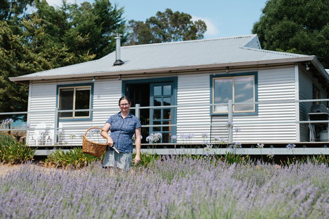 Nannup Lavender Farm - Accommodation Bookings 1
