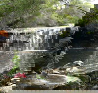 Nellies Glen Picnic Area - Accommodation Bookings