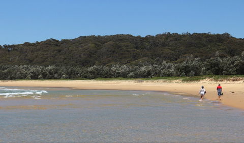 Nelson Lagoon - Accommodation Bookings 0