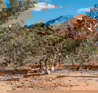 Old Coach Road Drive - Accommodation Bookings