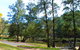 Ophir Reserve - thumb 1