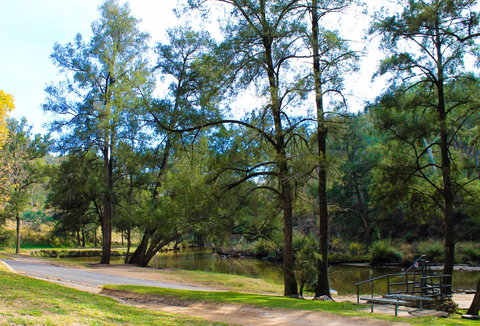 Ophir Reserve - Accommodation Bookings 1