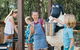 Paradise Country - thumb 1