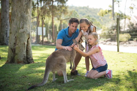 Paradise Country - Accommodation Bookings 2