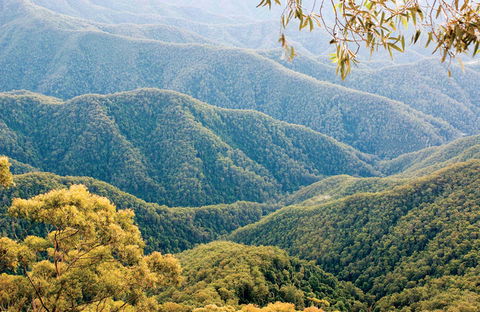 Point Lookout Walking Track - Accommodation Bookings 0