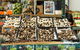 Prahran Market - thumb 1