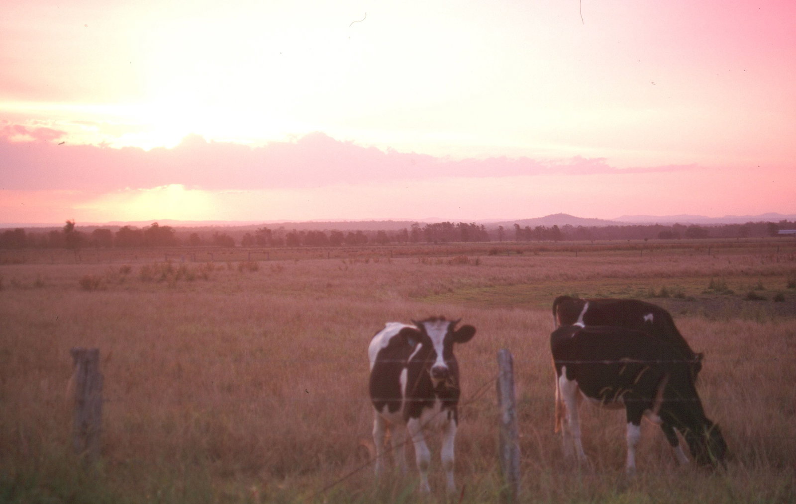 Pyree NSW Accommodation Bookings