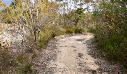 Red Rocks Trig Walking Track - Accommodation Bookings 0