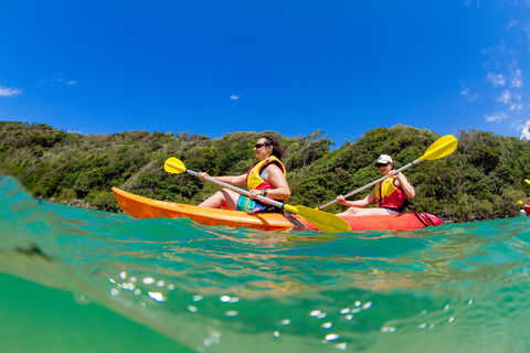 Reflections Boambee Creek Reserve - Accommodation Bookings 2