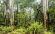 River Walking Track - thumb 0