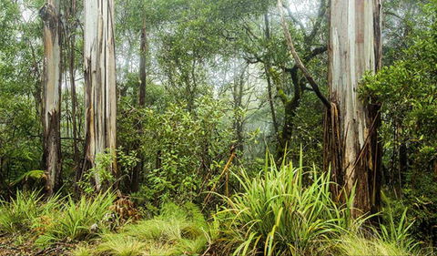 River Walking Track - Accommodation Bookings 0