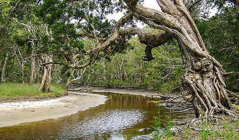 Saltwater National Park - Accommodation Bookings 0