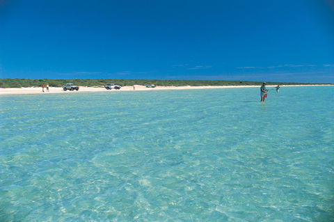 Shark Bay World Heritage Drive - Accommodation Bookings 1