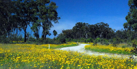 Shearer's Way - Accommodation Bookings 0
