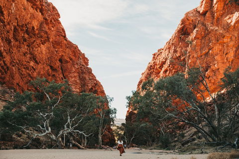 Simpsons Gap - Accommodation Bookings 0