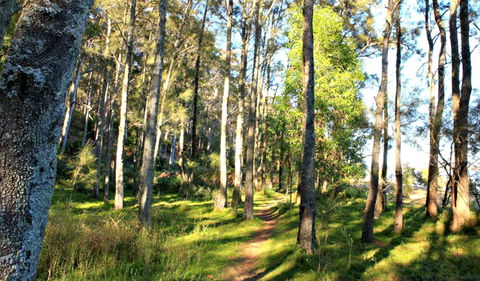 Square Head Track 1 - Accommodation Bookings 0