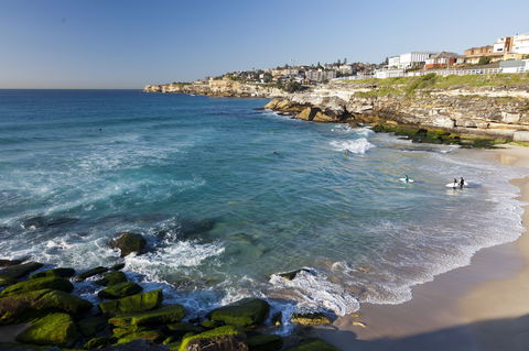 Tamarama Beach - Accommodation Bookings 1