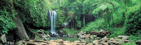 Tamborine National Park - Accommodation Bookings 0