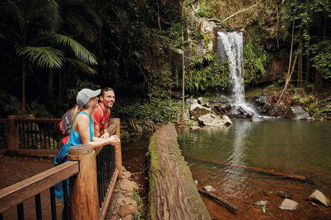 Tamborine National Park - Accommodation Bookings 1