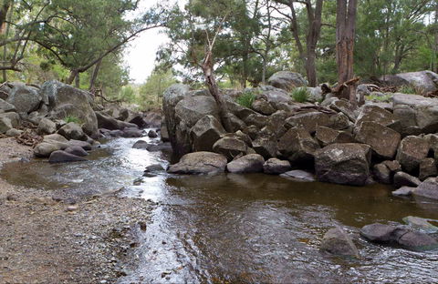 Threlfall Walking Track - Accommodation Bookings 0