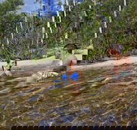 Tjaynera Falls Sandy Creek - Accommodation Bookings