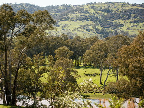 Trawool Valley - Accommodation Bookings 0