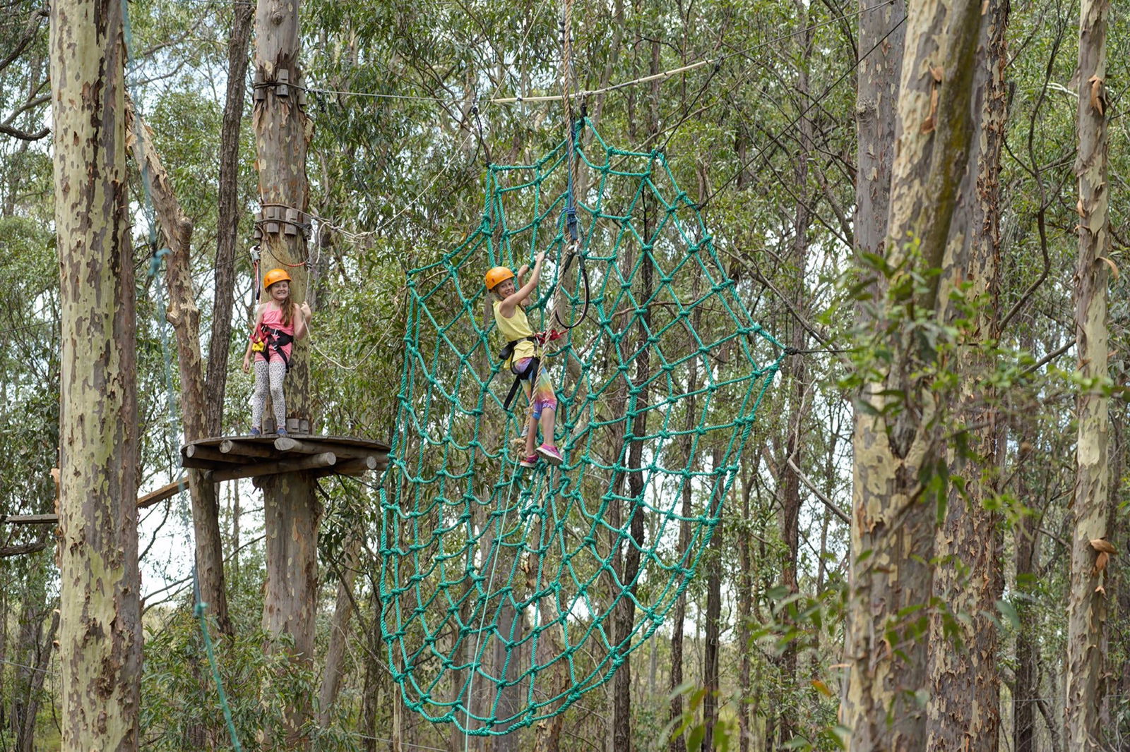 Minmi NSW Accommodation Bookings