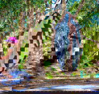 Wagirra Trail and Yindyamarra Sculpture Walk - Accommodation Bookings