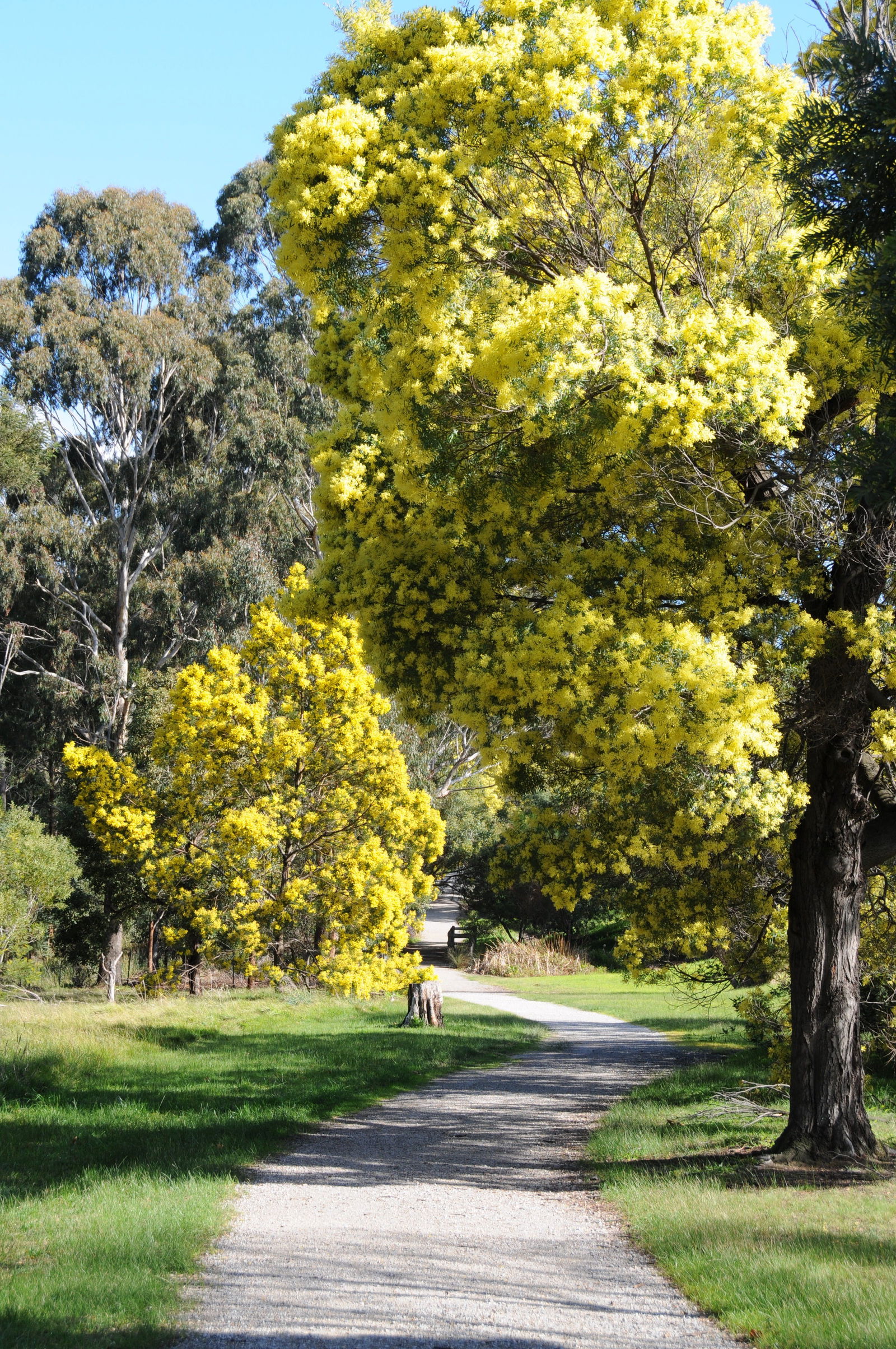 Kilsyth South VIC Accommodation Bookings
