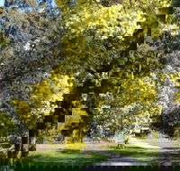 Wattle Park - Accommodation Bookings