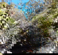 Waterfall Walk Kanangra-Boyd National Park - Accommodation Bookings