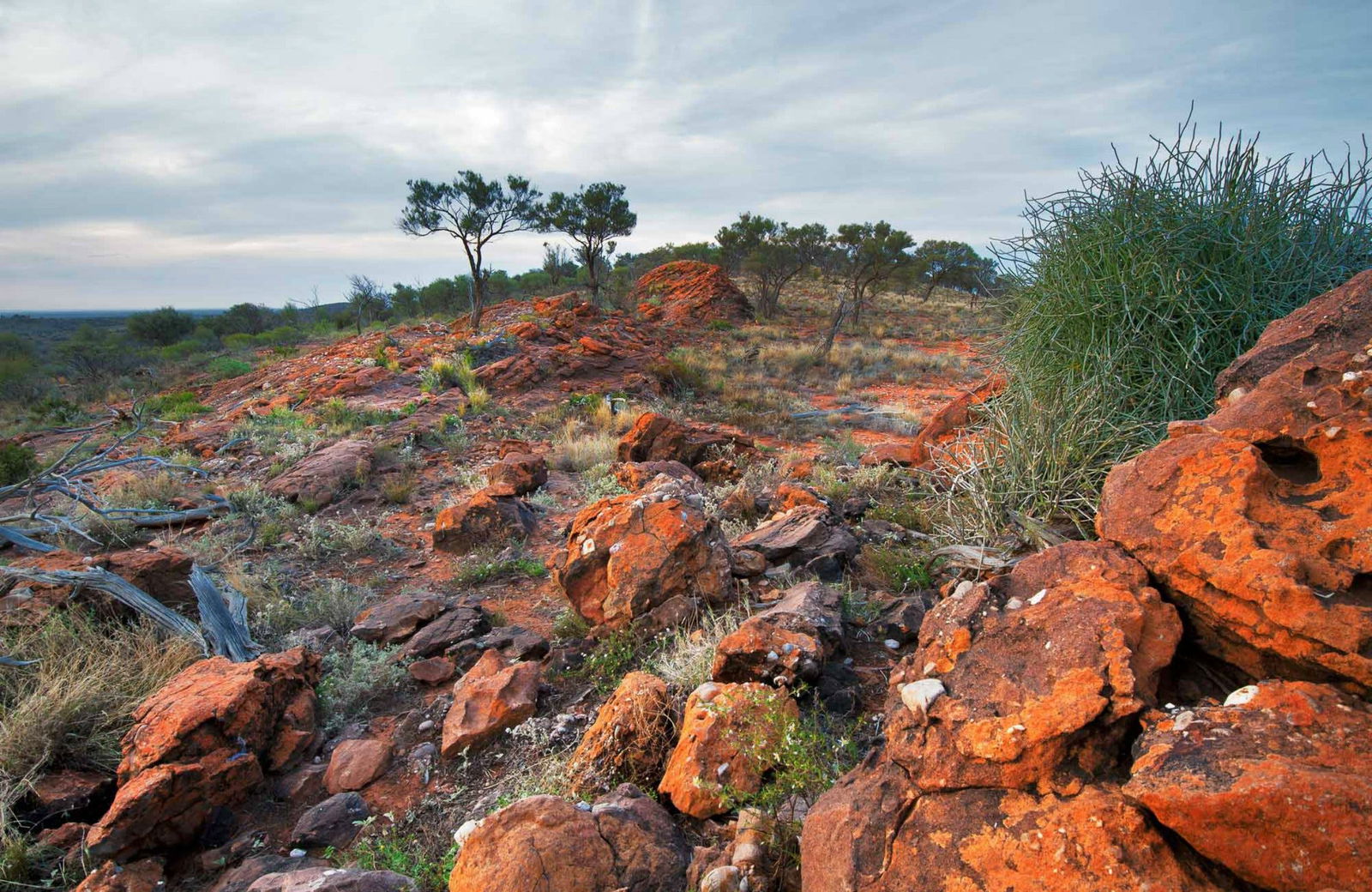 Mutawintji NSW Accommodation Bookings
