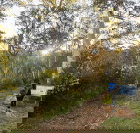 Yarrangobilly Caves  River walk - Accommodation Bookings