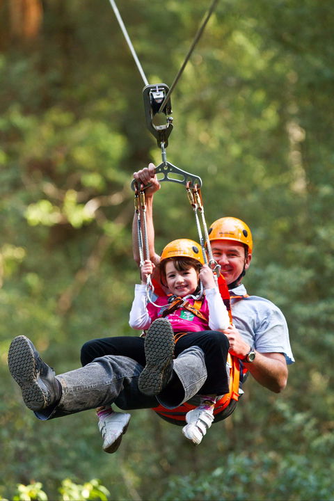 Zipline At Illawarra Fly - Accommodation Bookings 0