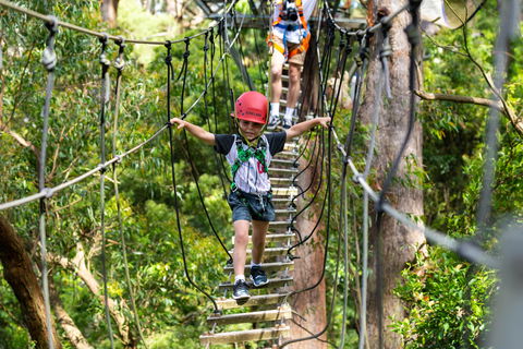 Zipline At Illawarra Fly - Accommodation Bookings 1