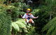 Zipline At Illawarra Fly - thumb 2