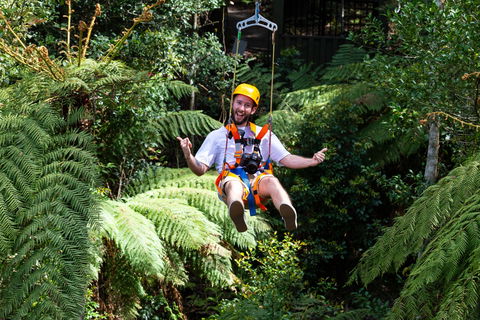 Zipline At Illawarra Fly - Accommodation Bookings 2