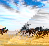 7 Day Outback Giants - Accommodation Bookings