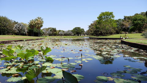 Anderson Park Botanic Gardens - Accommodation Bookings 0