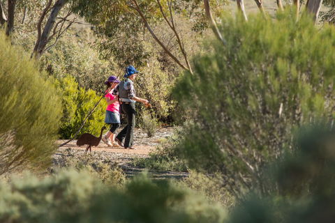 Australian Arid Lands Botanic Garden - Accommodation Bookings 0