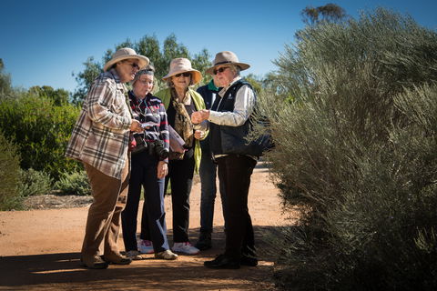 Australian Arid Lands Botanic Garden - Accommodation Bookings 2