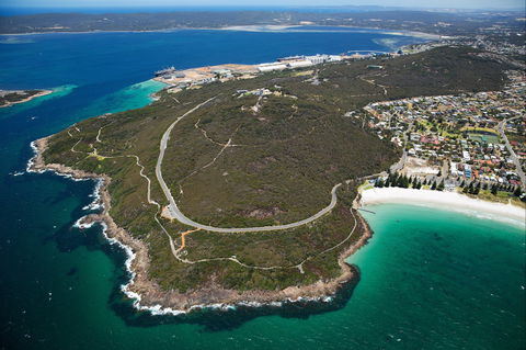 Avenue Of Honour - Accommodation Bookings 0