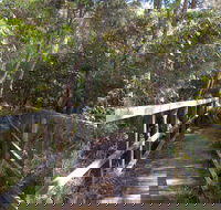 Awaba Bay Foreshore Walk - Accommodation Bookings