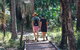 Banksia Track, Burrum Coast National Park - thumb 0