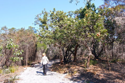 Banksia Track, Burrum Coast National Park - Accommodation Bookings 1