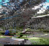 Barrington Tops State Forest - Accommodation Bookings
