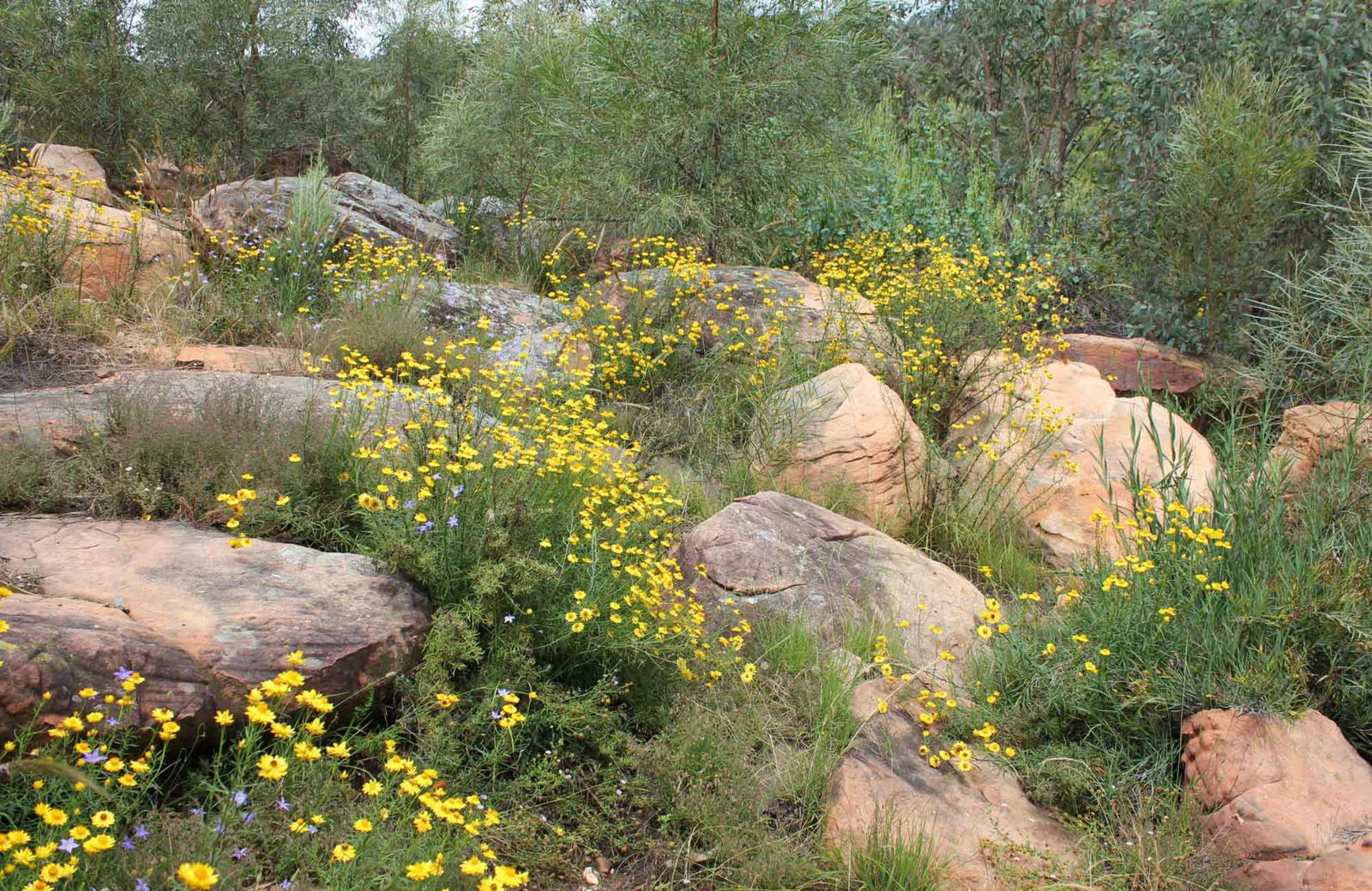 Explorer Country NSW Accommodation Bookings