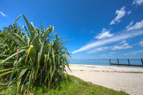 Bongaree Walkabout - Accommodation Bookings 0